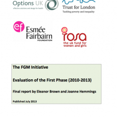 The	FGM Initiative	Evaluation of	the	First	Phase	(2010-­‐2013)	Final	report