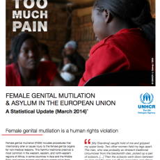 Too Much Pain: Female Genital Mutilation & Asylum in the European Union A Statistical Update (March 2014)