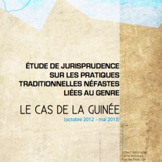 Étude de jurisprudence sur les pratiques traditionnelles néfastes liées au genre : Le cas de la Guinée (octobre 2012 – mai 2013)
