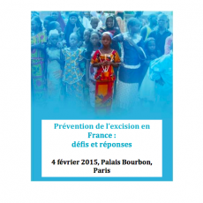 Compte-rendu Rencontre-débat « Prévention de l’excision en France: défis et réponses » au Palais Bourbon à Paris, 4 février 2015