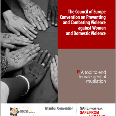 A tool to end female genital mutilation: Istanbul Convention