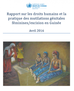 rapport-onu-guinee-2016