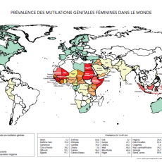 Nouvelle carte des prévalences MGF