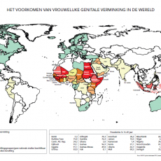 Nieuwe cijfers 2016: prevalentie VGV in de wereld