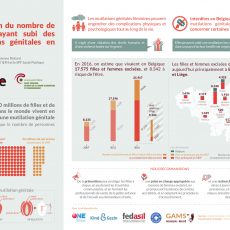 Prévalence femmes et filles concernées par les MGF en Belgique