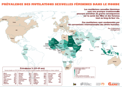 Carte de « Prévalence des mutilation sexuelles féminines dans le monde » 2023