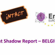 Shadow Report on Istanbul Convention implementation in Belgium
