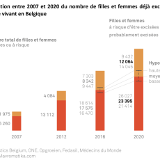 MÉMORANDUM 2024 « PRÉVENIR ET PROTÉGER »                 VERS L’ABANDON DES MUTILATIONS GÉNITALES FÉMININES