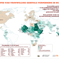Prevalentie van VGV, 2023