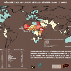 La carte de prévalence des Mutilations Génitales Féminines dans le monde