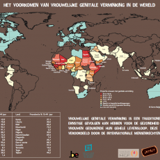 De wereldkaart met de prevalentie van vrouwelijke genitale verminking in de wereld