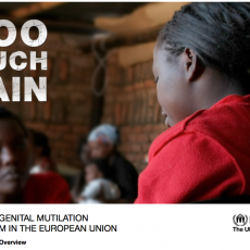 Too much pain: Female Genital Mutilation & Asylum in the European Union