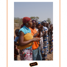 Verslag van de missie van INTACT in Guinee, februari 2014