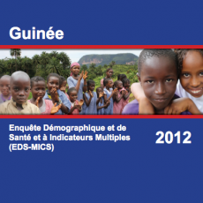 Guinée: Enquête Démographique et de Santé et à Indicateurs Multiples (EDS-MICS)