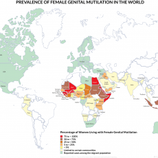 FGM Prevalence map, 2017