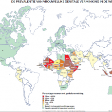 Prevalentie van VGV, 2017 Prevalentie van VGV, 2017