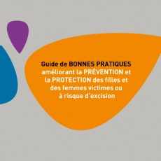 Guide de bonnes pratiques