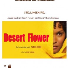 Mijn woestijn : Stellingenspel aan de hand van de film Desert Flower