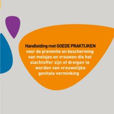 Handleiding goede praktijken