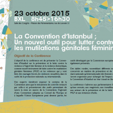 Conférence sur la Convention d’Istanbul