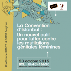 Dossier Colloque «La Convention d’Istanbul : Un nouvel outil pour lutter contre les MGF»