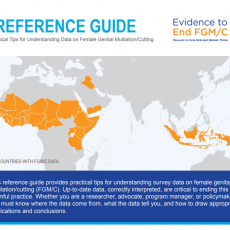Conseils pratiques pour comprendre les données sur les MGF/E